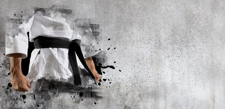 Fundal secțiune galerie